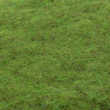 Load image into Gallery viewer, 30g Bag of 5mm Static Grass Summer Green